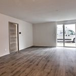 Rent 3 bedroom apartment of 77 m² in Ravine Des Cabris Saint Pierre