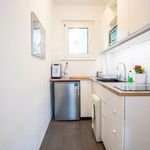 Rent 1 bedroom apartment of 30 m² in berlin
