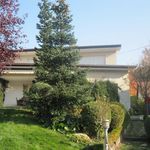 Najam 5 spavaće sobe kuća od 450 m² u Zagreb