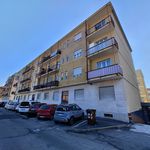 Rent 3 bedroom apartment of 82 m² in Grugliasco