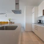 Rent 3 bedroom apartment of 250 m² in 's-Gravenhage