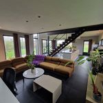 Rent 1 bedroom house of 166 m² in Steenokkerzeel