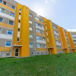 Rent 3 bedroom apartment of 70 m² in Schönebeck
