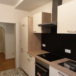 Rent 3 bedroom apartment of 81 m² in Wissembourg