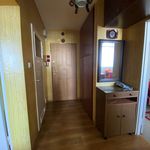 Rent 2 bedroom apartment of 49 m² in Opole