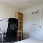 Rent a room of 12 m² in Trondheim