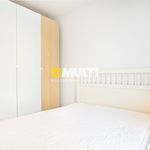 Rent 2 bedroom apartment of 36 m² in RAJKOWO