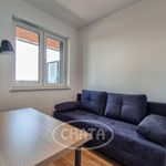 Rent 2 bedroom apartment of 33 m² in Wrocław