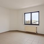 Huur 2 slaapkamer appartement van 140 m² in Willebroek