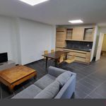 Rent 3 bedroom apartment of 73 m² in Saint-Julien-en-Genevois