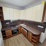 Rent 2 bedroom apartment of 53 m² in Sokolov