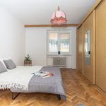 Rent 2 bedroom apartment of 63 m² in Mezibori