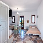 Rent 1 bedroom apartment of 36 m² in Ferma