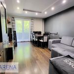 Rent 2 bedroom apartment of 47 m² in Sosnowiec