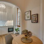 Rent 1 bedroom apartment of 42 m² in Firenze
