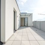 Rent 3 bedroom apartment of 58 m² in Vienna