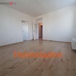 Rent 3 bedroom apartment of 55 m² in Havířov