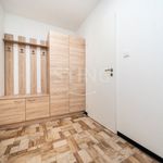 Rent 1 bedroom apartment of 27 m² in Ostrava