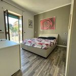 Rent 3 bedroom apartment of 66 m² in Roma