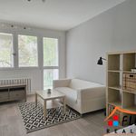Rent 1 bedroom apartment in Frýdek-Místek