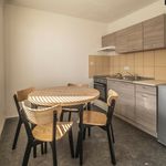 Rent 1 bedroom apartment in Liběšice