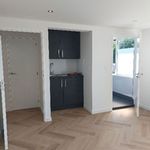 Huur 1 slaapkamer appartement van 19 m² in Tilburg