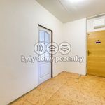 Rent 3 bedroom apartment of 75 m² in Bezvěrov
