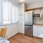Rent 2 bedroom apartment of 60 m² in Plzeň