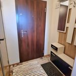 Rent 2 bedroom apartment of 40 m² in Plzeň