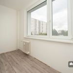 Rent 2 bedroom house of 34 m² in Pardubice