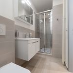 Rent 2 bedroom apartment of 57 m² in Prague