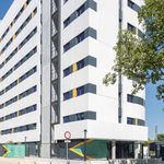 Rent 2 bedroom student apartment of 30 m² in Elche