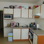 Rent 5 bedroom apartment of 35 m² in Plzeň