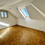 Rent 11 bedroom house of 380 m² in Wien
