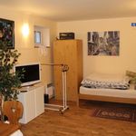 Rent 1 bedroom apartment of 40 m² in Velká Hleďsebe