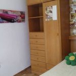 Alquilar 1 dormitorio apartamento en Cádiz