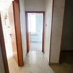 Rent 4 bedroom apartment of 120 m² in Trapani
