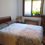 Rent 2 bedroom apartment of 65 m² in Donosti