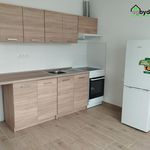 Rent 3 bedroom apartment of 45 m² in Dnešice