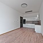 Rent 1 bedroom apartment of 49 m² in Děčín