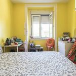 Rent 6 bedroom apartment in Pegões Velhos