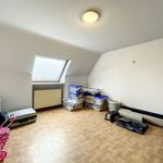 Rent 4 bedroom house of 1500 m² in Waregem