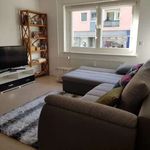 Rent 1 bedroom apartment of 58 m² in frankfurt