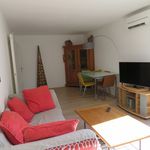 Louez une chambre de 65 m² à Montpellier