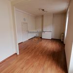 Rent 3 bedroom apartment of 100 m² in Saint-Affrique