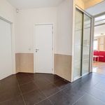 Huur 2 slaapkamer appartement van 110 m² in Schaerbeek