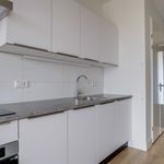 Rent 1 bedroom apartment of 37 m² in Utrecht