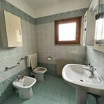 Rent 2 bedroom apartment of 40 m² in Udine