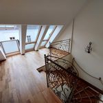 Rent 1 bedroom apartment of 165 m² in Linz