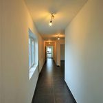 Rent 2 bedroom apartment in Walcourt